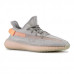 Adidas Yeezy Boost 350 v2 True Form