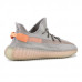 Adidas Yeezy Boost 350 v2 True Form